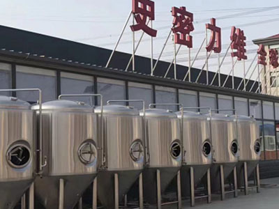 鹿城精酿啤酒设备厂—如何判断精酿啤酒设备的密封件需要更换？